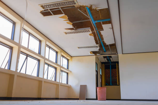 Best Sewage cleanup and water damage restoration  in Apple Valley, UT