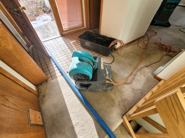 Best 24/7 water damage repair  in Apple Valley, UT