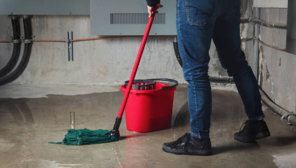 Best Commercial water damage restoration  in Apple Valley, UT