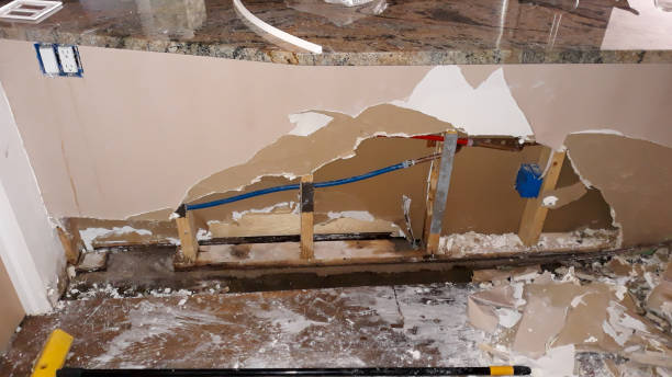 Best Water damage contractors near me  in Apple Valley, UT