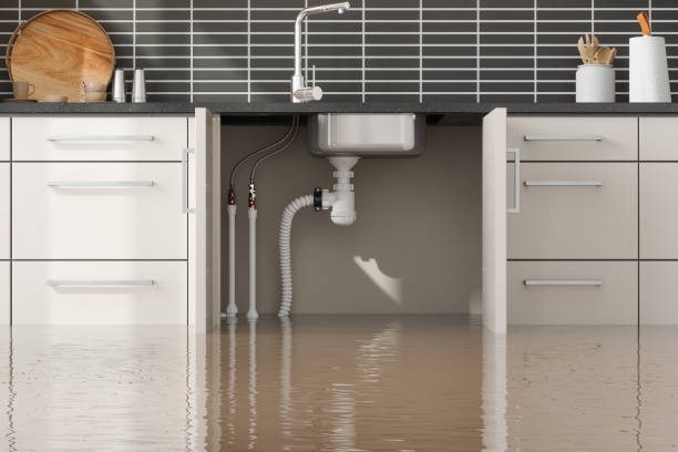 Best Flood restoration services  in Apple Valley, UT