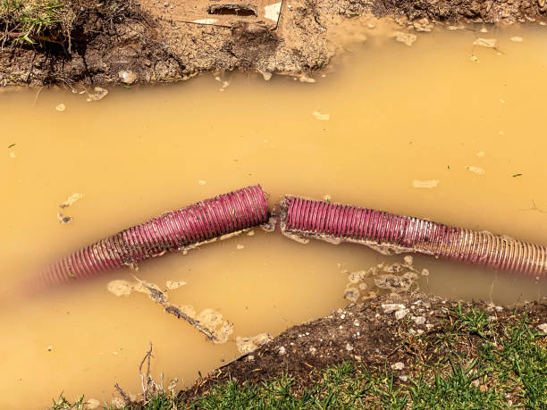 Best Flooded house restoration  in Apple Valley, UT