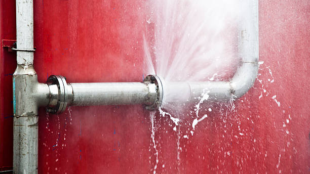Best Mold removal after water damage  in Apple Valley, UT